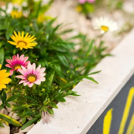 アパート Galic プロチェ