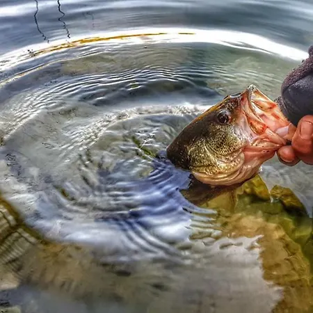 アパート Galic プロチェ