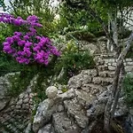 Galic * Ploce (Dubrovnik-Neretva)
