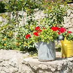 Galic Ploce (Dubrovnik-Neretva)