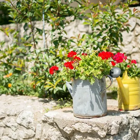 Galic Ploce (Dubrovnik-Neretva)