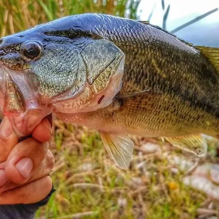 Daire Galic Ploce (Dubrovnik-Neretva)